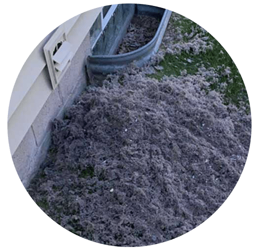 Pile of lint pulled out from a homes exterior dryer vent in Phoenix.